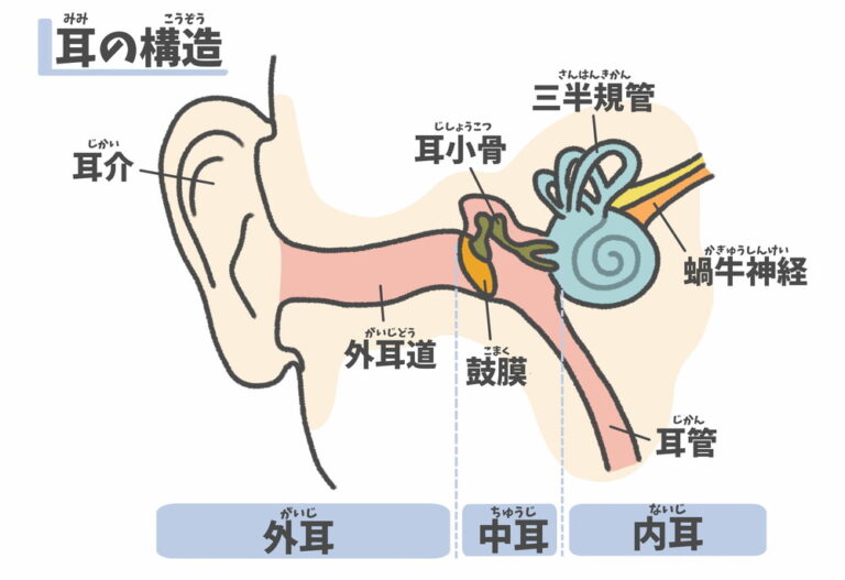 中耳炎について