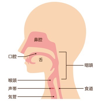 咽頭がん