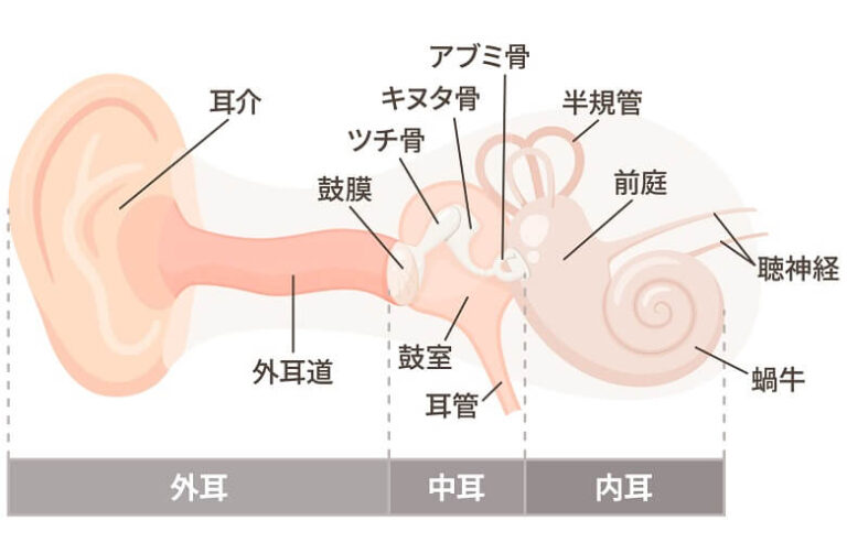 外耳炎・耳垢栓塞について